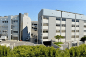 Patchi Factory